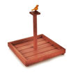 Picture of Wooden Parrot Jar Set With Tray & Spoon (Red)
