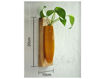 Picture of Wall Hanging Plant Holder