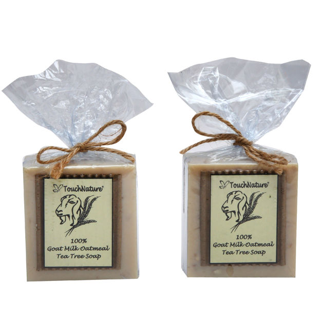 Picture of Goat Milk Soap with Tea Tree and Oatmeal (Set of 2)