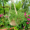 Picture of Multipurpose Eco-friendly Jute bag