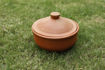 Picture of Curd Setter Designer - 750 ML