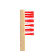 Picture of Bamboo Toothbrush Standard Nylon Bristles (Adult - Medium)
