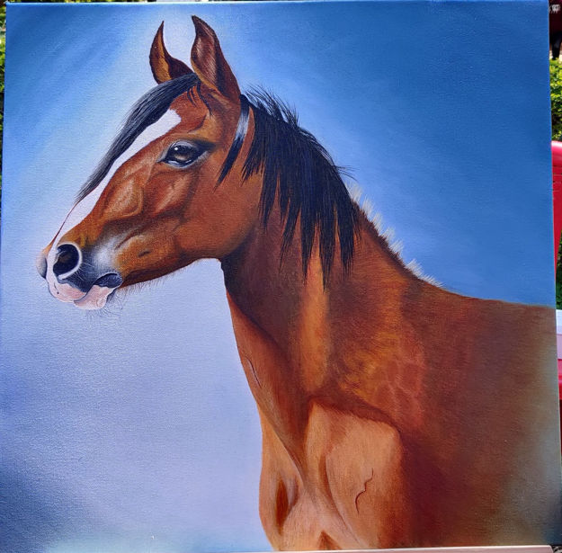 Picture of Horse  Oil on Canvas Painting