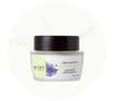 Picture of Daily Night Nourishing Cream