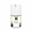 Picture of Day Cream (Available in 3 Scents)