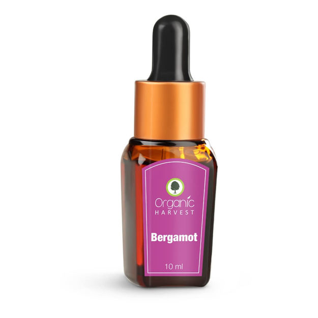 Picture of Essential Oil - Bergamot