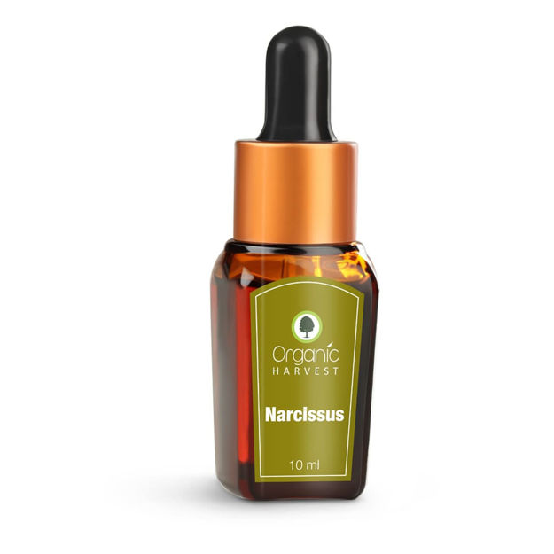 Picture of Essential Oil - Narcissus