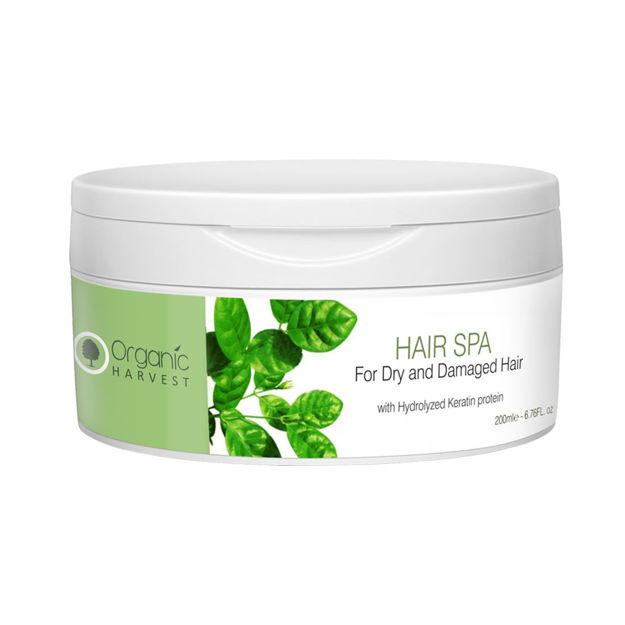 Picture of Hair Spa for Dry & Damaged hair