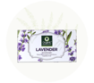 Picture of Lavender Bathing Bar (Available in 2 Sizes)