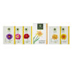 Picture of Organic Shield -  Anti Tan Facial Kit