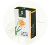 Picture of Organic Shield -  Anti Tan Facial Kit