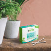Picture of Cotton Buds with Paper Stick Pack of 5 - Available in 4 Size
