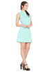 Picture of Flamingo Skater Dress