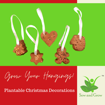 Picture of Plantable Christmas Hanging Ornaments Decoration (Pack of 5)