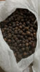 Picture of Black Pepper