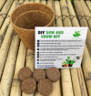 Picture of DIY - Gardening 3 Vegetables Kits