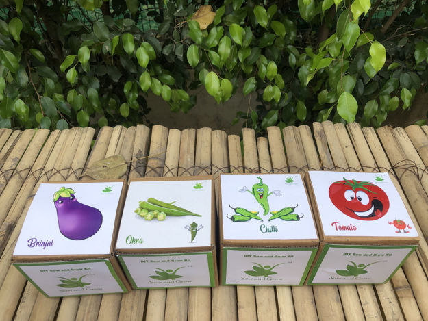 Picture of Gardening 4 Vegetable Kits
