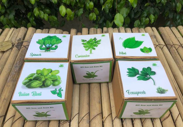 Picture of Gardening All Greens Kits