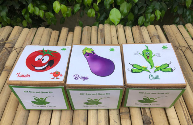 Picture of Gardening Leafy Kits
