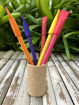 Picture of 5 Plantable Seed Paper Pens Colourful in a Reusable Box