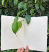 Picture of Eco-Friendly Plantable Diary and Seed Paper Pen Combo (Assorted)