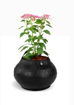 Picture of Matka Planter (With Rubber Handle)