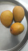 Picture of Ratnagiri Alphonso Mangoes (1Kg, 3Kg or 5Kg)