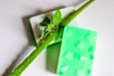 Picture of Basil Aloe Vera Handmade Soap for all skin
