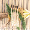 Picture of Charcoal Bamboo Toothbrush Pack of 4