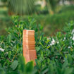 Picture of Neem Comb Full Size