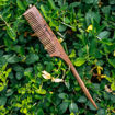 Picture of Tail Rosewood/Sheesham Comb