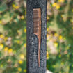 Picture of Tail Rosewood/Sheesham Comb