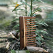 Picture of Wide Teeth Rosewood/Sheesham Comb