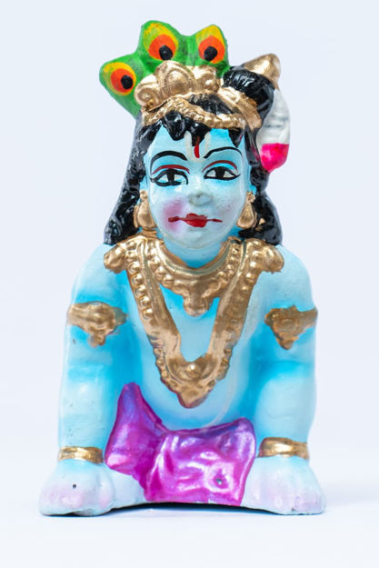 Picture of Ammegalu Krishna