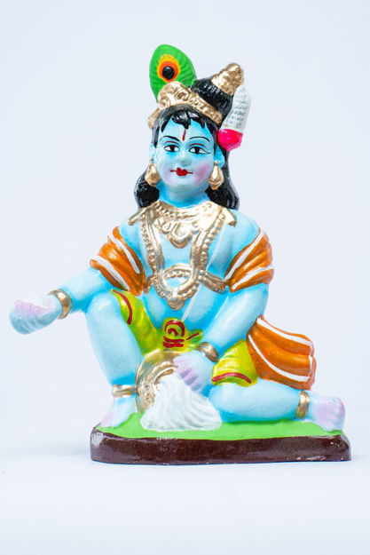 Picture of Benne Krishna