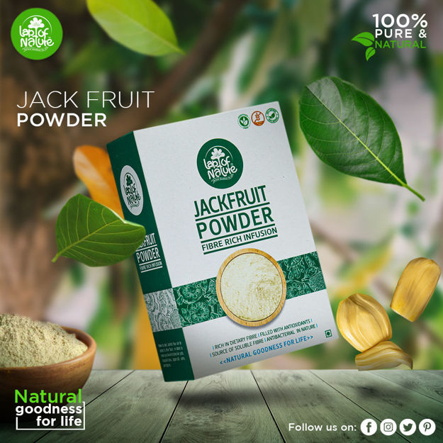 Picture of Jackfruit Powder