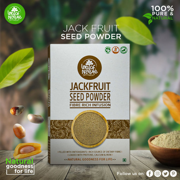 Picture of Jackfruit Seed Powder