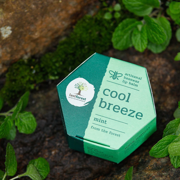 Picture of Handmade Beeswax Mint Lip Balm