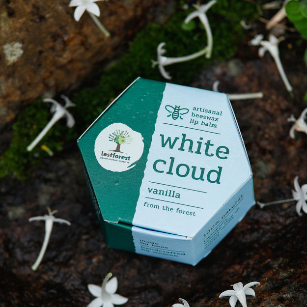 Picture of Handmade Beeswax Vanilla  Lip Balm
