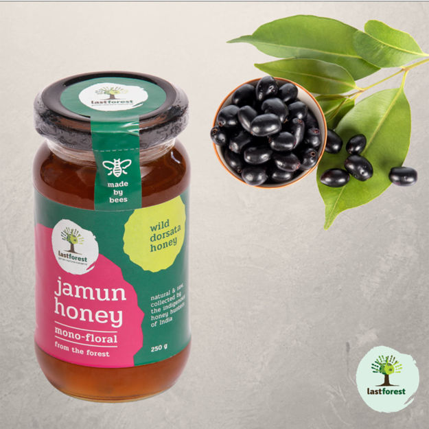 Picture of Jamun Wild Honey 500gms