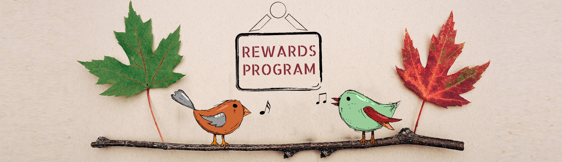 Rewards Program